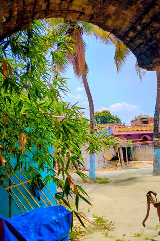 Tranquil Abandonment 🌴..