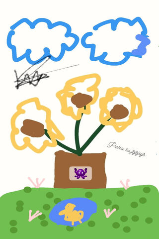 Whimsical Flower Power ..
