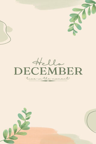 Embracing December 🌿✨