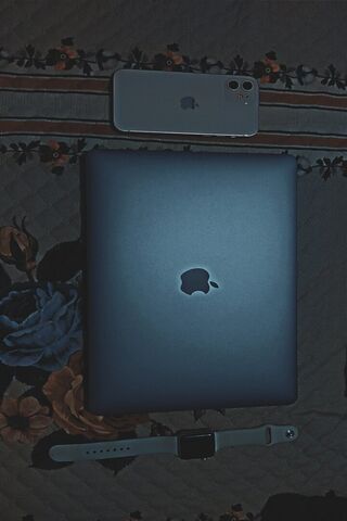Tech Trio on a Cozy Bac..