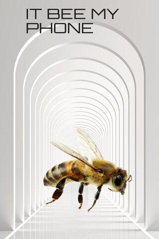 Buzzing Into the Future..