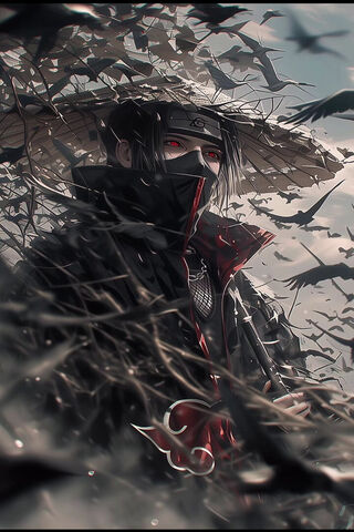Mysterious Shadows of t..