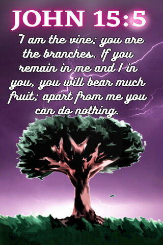 JOHN 15:5 Biblical Art
