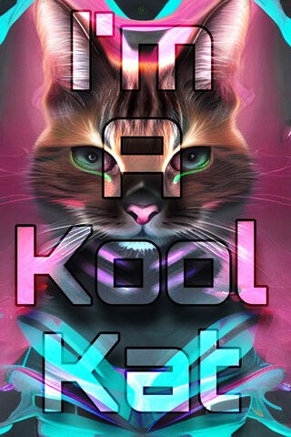 Kool Kat Vibes 😺✨