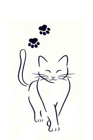 Whiskers on the Move! 🐾