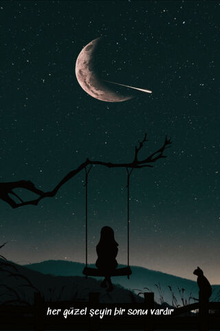 Dreamy Night Under the Stars 🌙✨