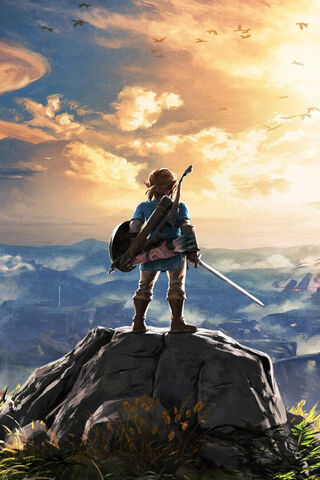Link