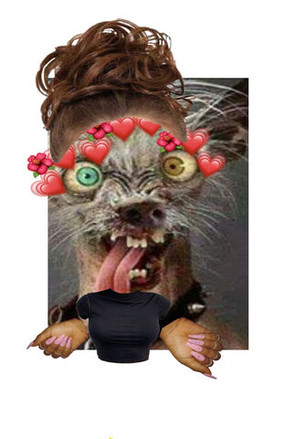 Whimsical Creature Mash..