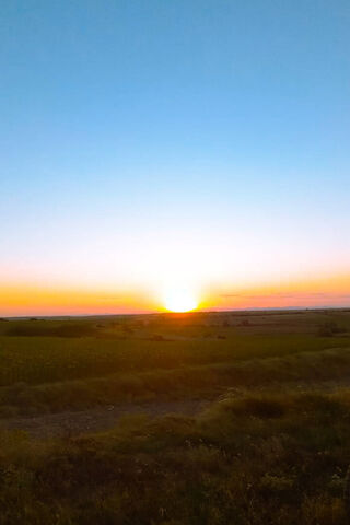 Serene Sunset Over the Fields 🌅