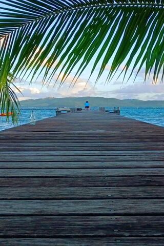 Tranquil Pier Escape 🌊🌴