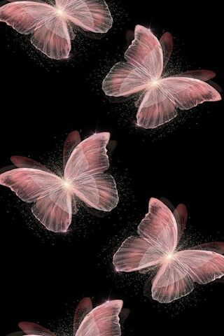 Enchanted Butterflies