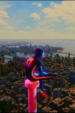 Sky High: A Hero's View..