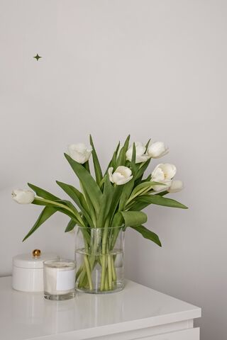 Elegant White Tulips in..