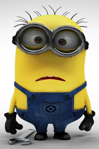 Meet the Minion! 😄