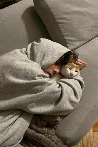 Cozy Companions 🐾💤