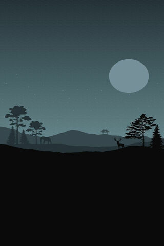 Serene Night in the Wil..