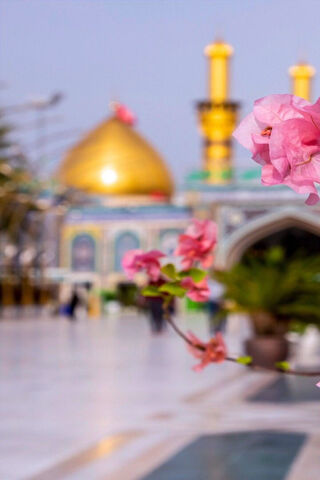 Blossoms of Serenity 🌸✨
