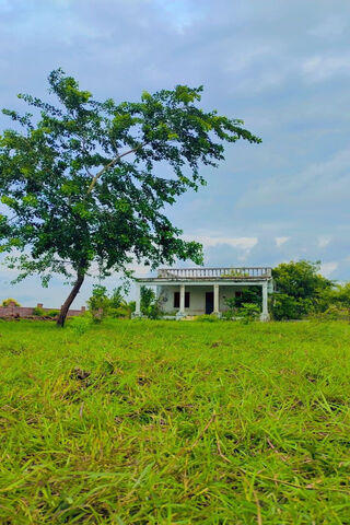 Tranquil Abandonment 🌳🏡