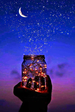 Capturing Dreams in a J..