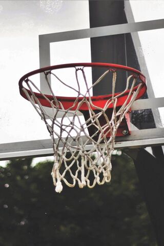 Swish! 🏀