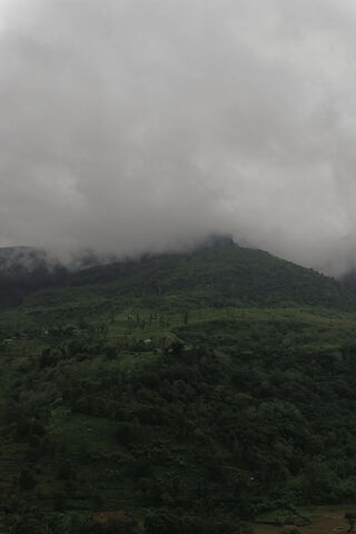 Nuwaraeliya Mountains
