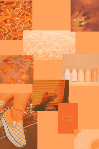 Orange Vibes 🍊✨