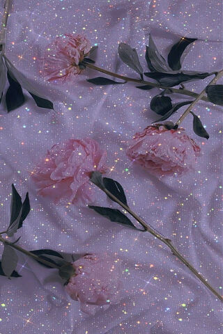 Sparkling Blooms 🌸✨