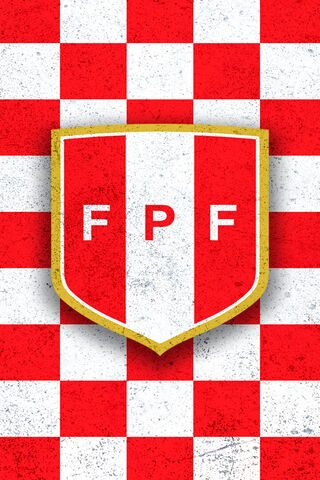 Bold Emblem on a Classic Background ⚽️