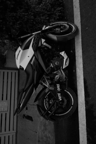 Sleek Ride in Monochrom..