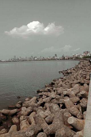 Serene Shoreline View �..