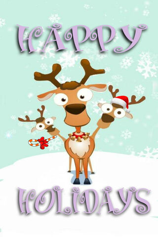 Reindeer