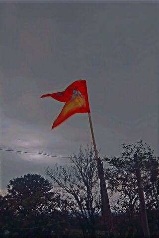 Majestic Flag Against a..
