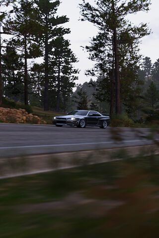 Speeding Through Nature..