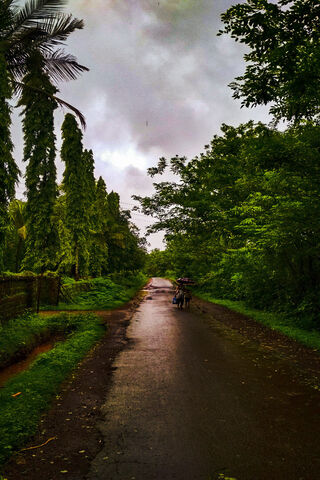 Serene Rainy Day on a C..