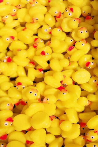 Quacking Fun! 🦆✨
