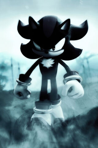 Shadow's Dark Awakening..