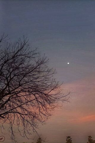 Serene Twilight 🌅🌙