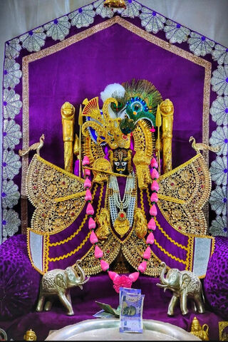 Divine Splendor: The Majestic Idol of Lord Krishna 🌟
