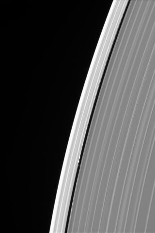 Saturno RING
