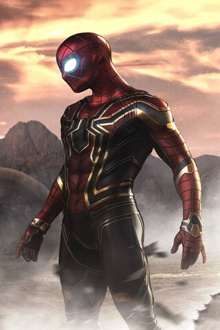 Spider-Man: A Hero in A..
