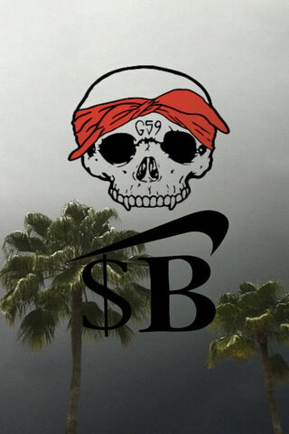 Mysterious Vibes 🌴💀