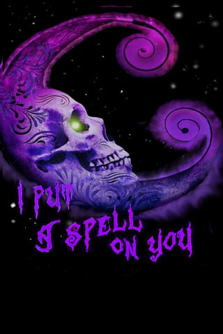 Enchanted Moonlit Spell..