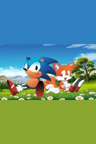 Sonic and Tails in the ..