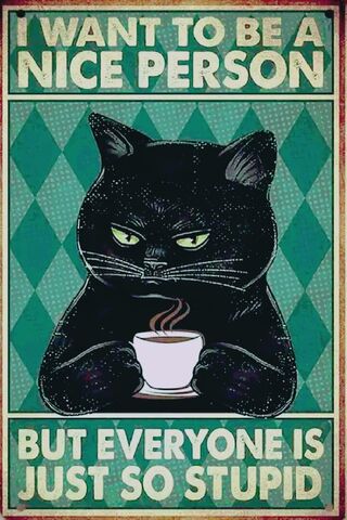 Grumpy Cat's Coffee Confession ☕🐾