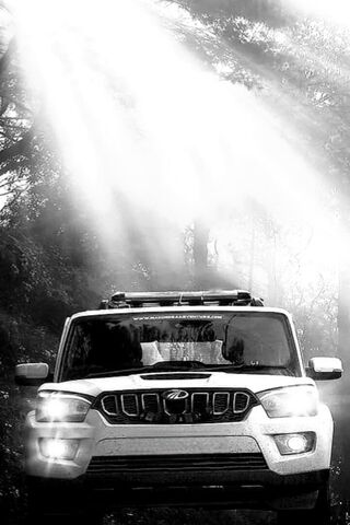 Adventure Awaits! 🚙✨