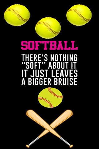 Softball Spirit! ⚾💪