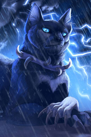 Scourge Warrior Cats