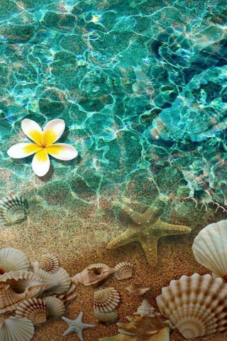 Tranquil Beach Serenity..