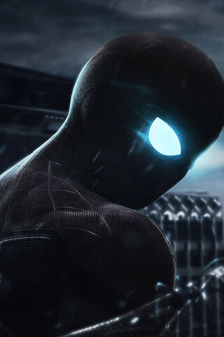 The Mysterious Hero 🕷️✨