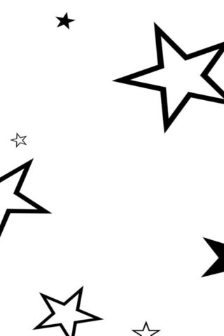 Starry Delight ✨